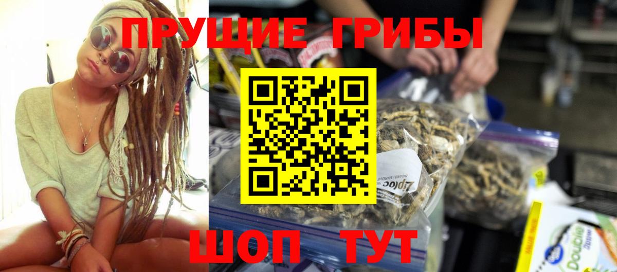 Подольск  Галлюциногенные грибы Magic Shrooms  наркотики  Вход с VPN  Псилоцибиновые грибы Psilocybe 